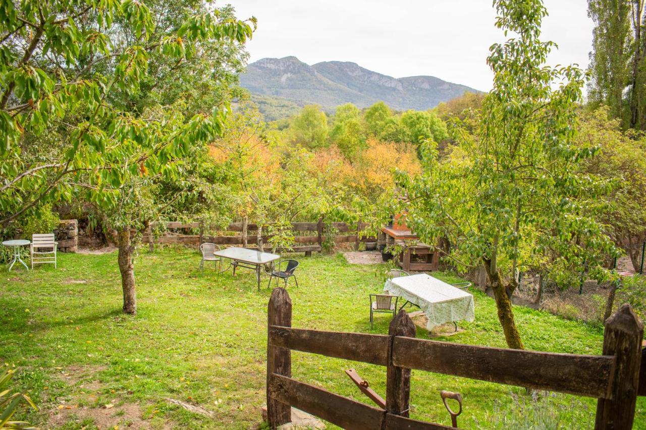 Casa Monaut, Acogedores Apartamentos A Los Pies De La Selva De Irati Saragueta Εξωτερικό φωτογραφία